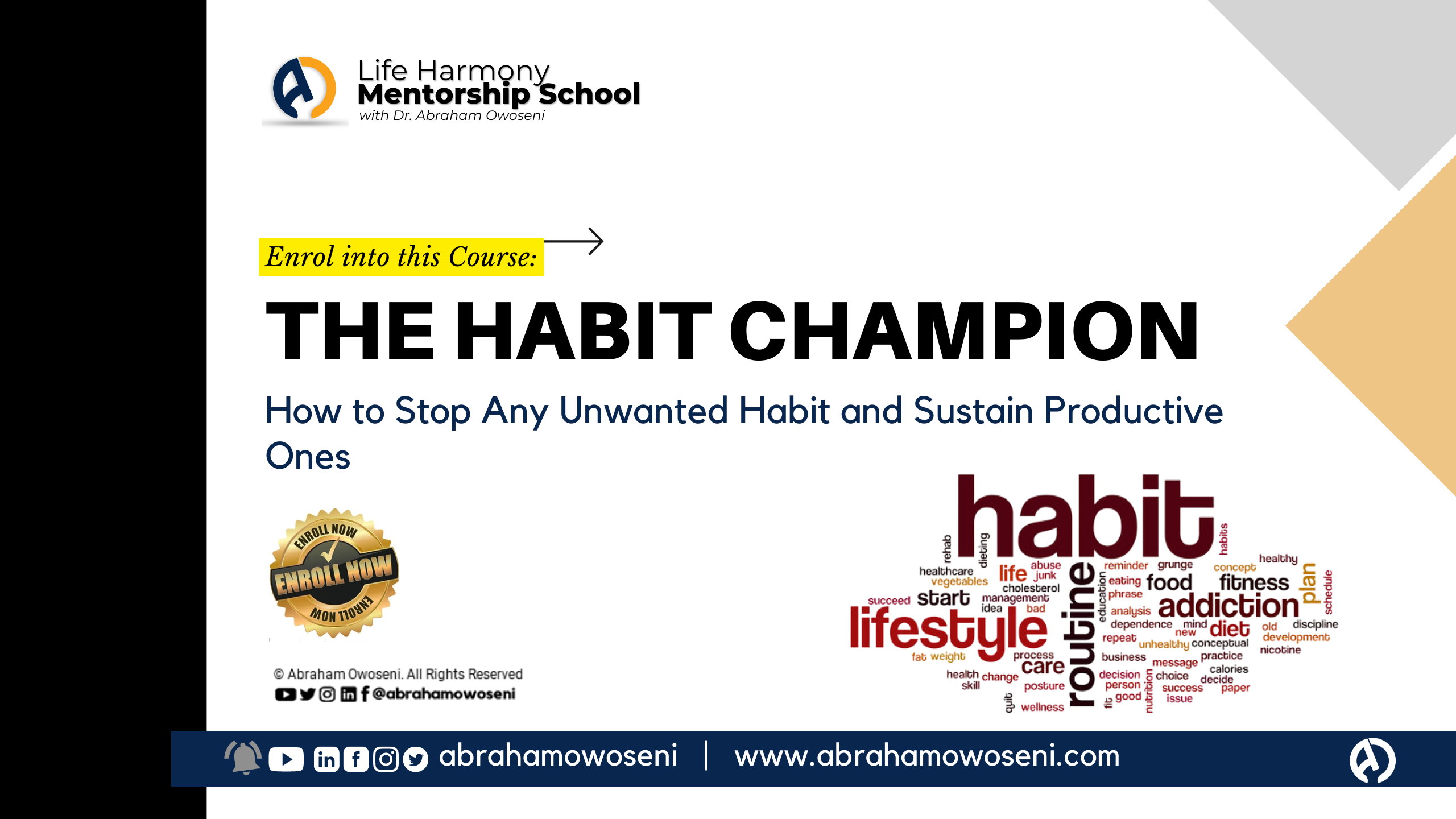The Habit Champion: How to Stop Any Unwanted Habit and Sustain Productive Ones
